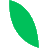 Jivo